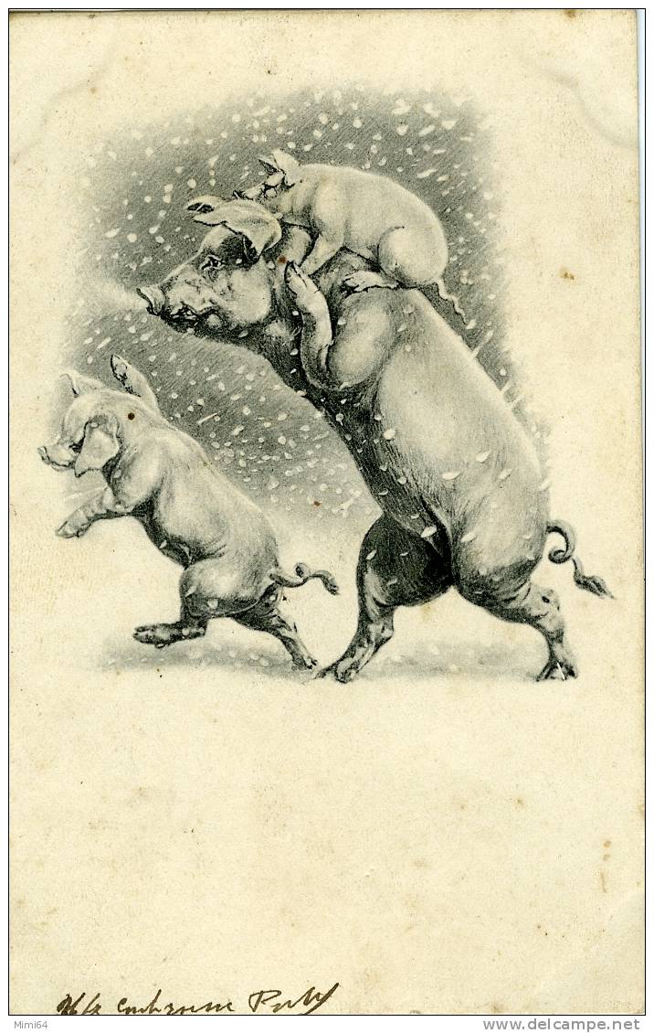 CARTE POSTALE VIENNOISE .  COCHONS SOUS LA NEIGE . - Varkens