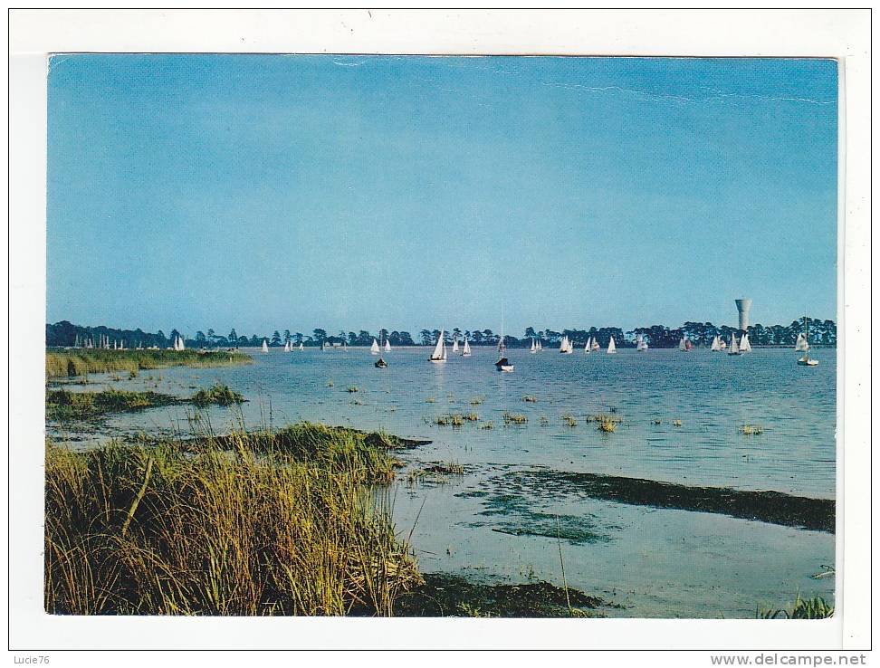 TRAPPES - BOIS D'ARCY  -  Etang De Saint Quentin - Trappes