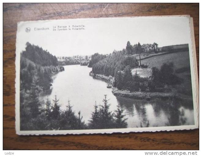 België Belgique Elsenborn Bij Luik Prachtige Natuur - Elsenborn (camp)