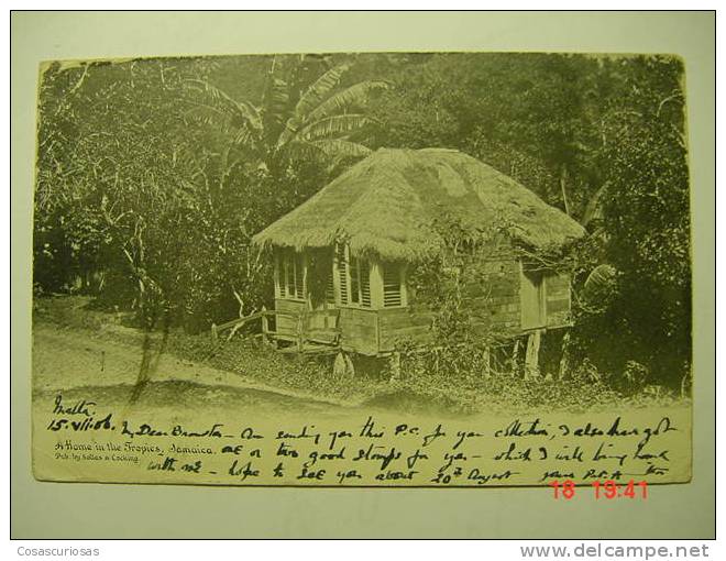 4862  Jamaica  A Home In The Tropics  YEAR´S  1900  OTHERS IN MY STORE - Jamaïque