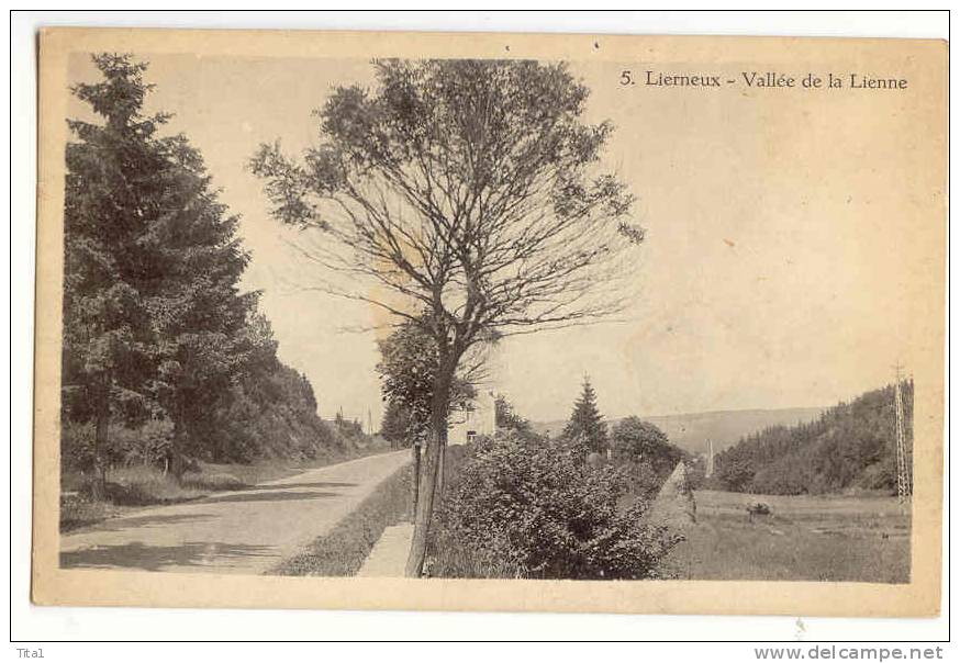 13533 - LIERNEUX - Vallée De La Lienne (N° 5) - Lierneux