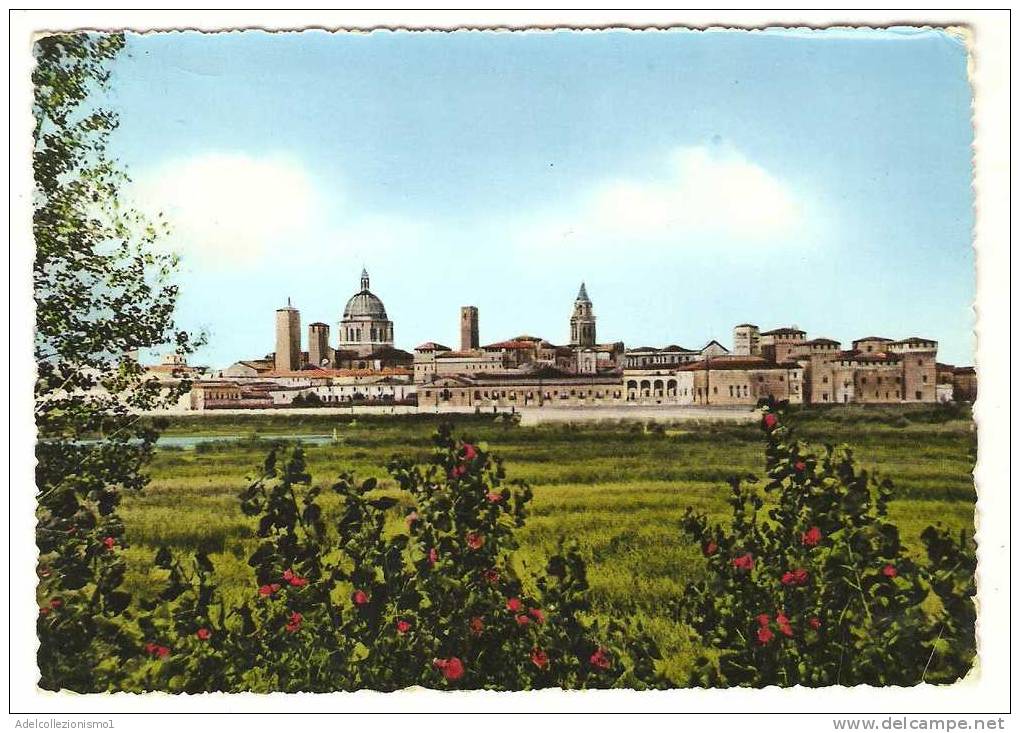 988)cartolina  Di Mantova-panorama-viaggiata - Mantova