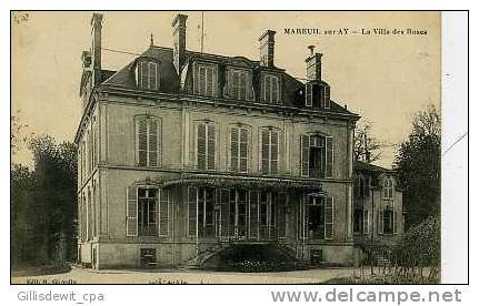 MAREUIL Su AY - La Villa Des Roses - Mareuil-sur-Ay