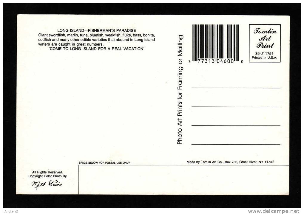 LONG ISLAND - FISHERMAN´S PARADISE - WE CATCH´EM BIG ON LONG ISLAND - FISH - Fish & Shellfish