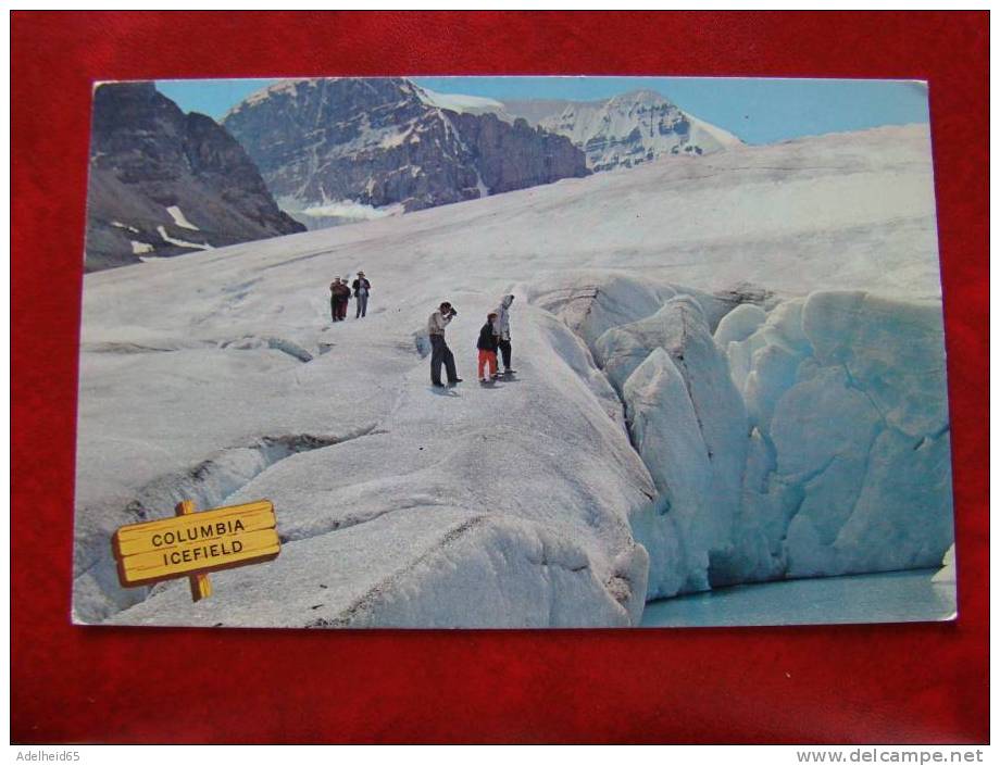 Columbia Icefield 1964 - Sonstige & Ohne Zuordnung