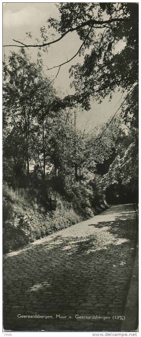 Geeraardsbergen :  Muur  (  Formaat   9 X 21 Cm ) - Geraardsbergen