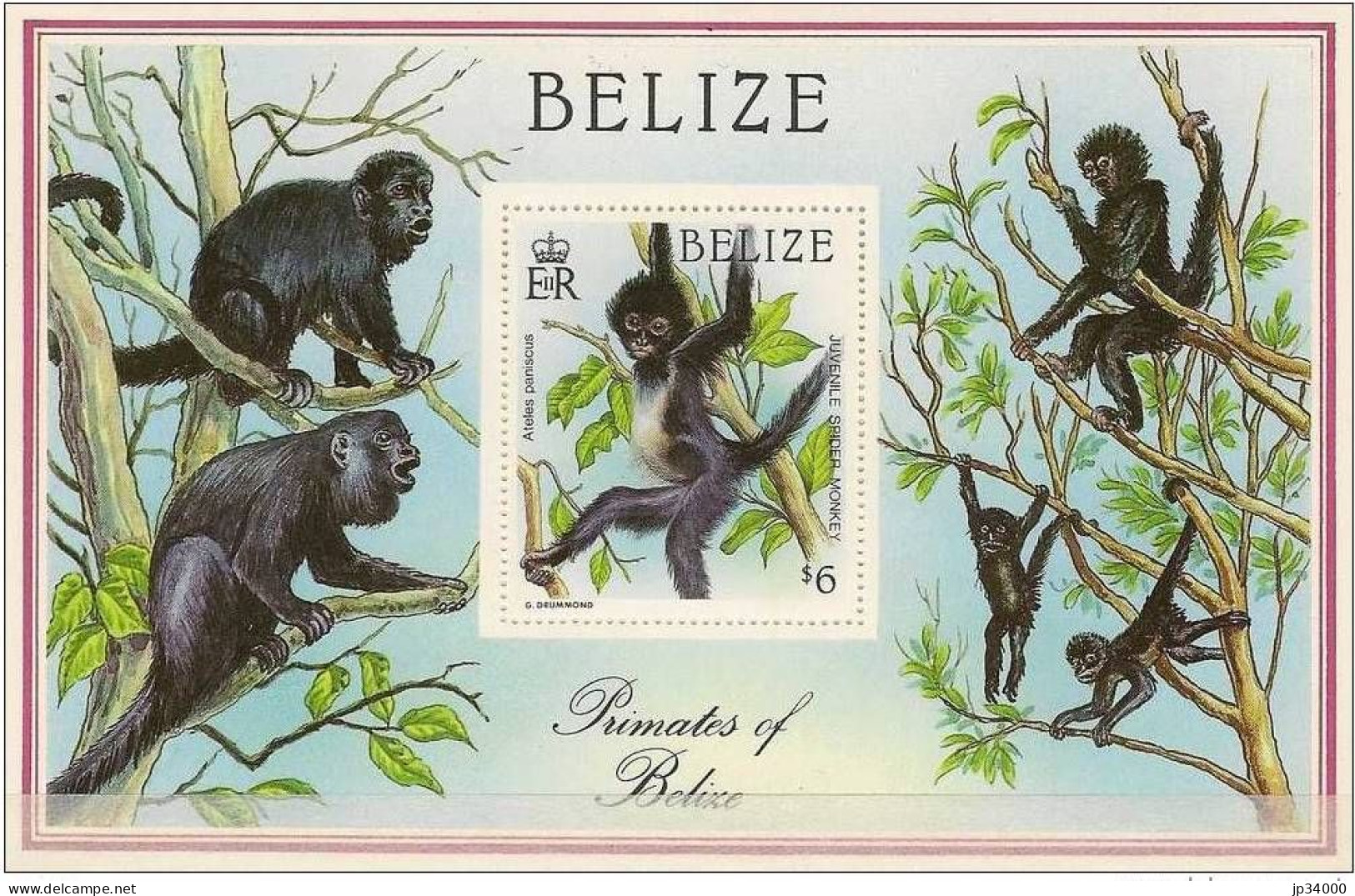 BELIZE Singes, Singe, Chimpanzés Yvert BF 81 ** MNH - Schimpansen