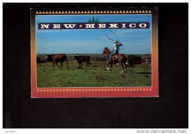 New Mexico - Cowboy - Autres & Non Classés