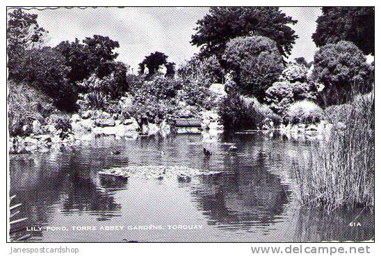 LILY POND Torre Abbey Gardens  - TORQUAY - Devon - Torquay