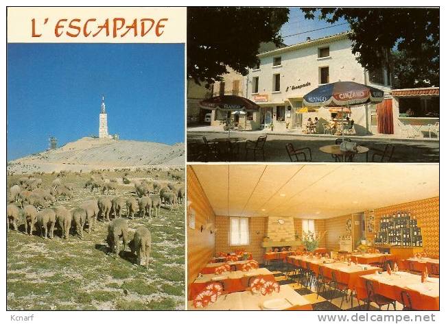 CP De BEDOIN-VENTOUX " Hôtel Restaurant L'ESCAPADE " . - Mormoiron