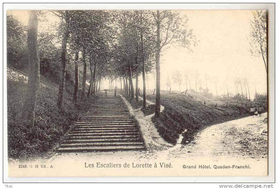 D194 - Les Escaliers De Lorette à Visé - Visé