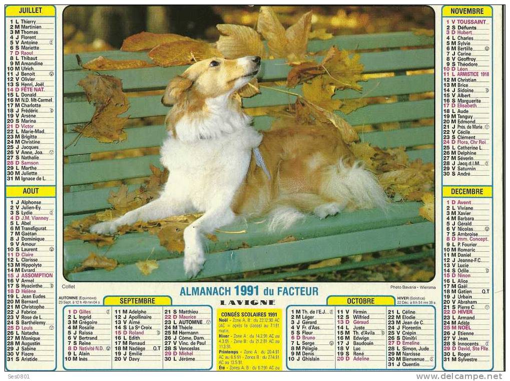 CALENDRIER ALMANACH DES PTT De  1991 Des Chiens - Grossformat : 1991-00