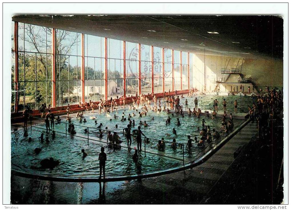 NATATION - PISCINE Du MANS - CPSM Scan Recto-verso - - Zwemmen