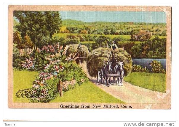 ETATS-UNIS - Grettings From New Milford Connecticut : Charette De Foin à Cheval - Sonstige & Ohne Zuordnung