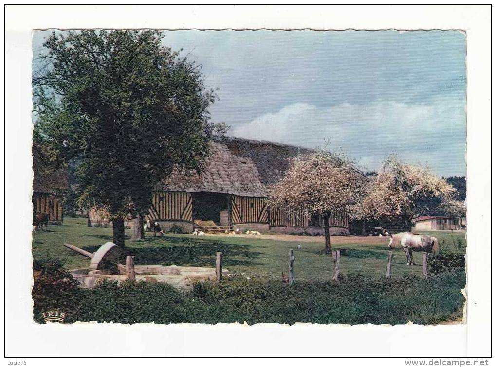 FERME NORMANDE -  Charmes Et Couleurs De La Normandie -  N° 76 000 35 - Fattorie