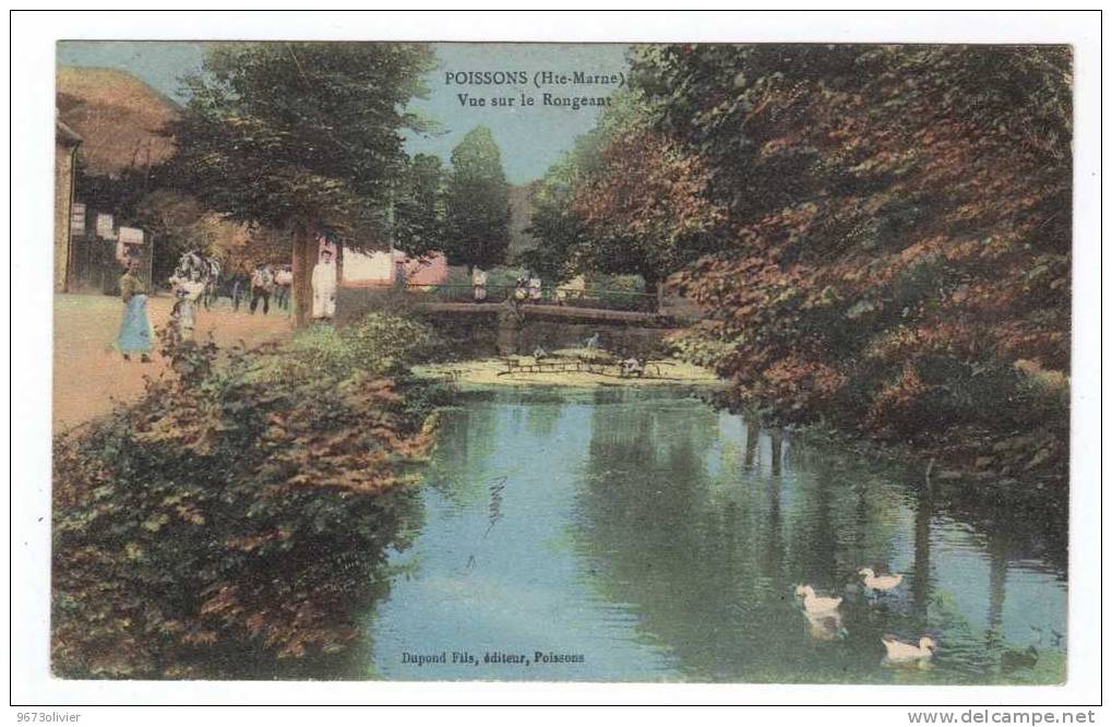 AUTE MARNE - Poissons - Vue Sur Le Rongeant - Poissons