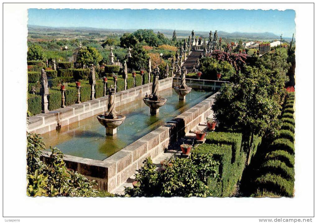 Portugal Cor 4445 – CASTELO BRANCO - JARDINS DO PAÇO LARGO DAS COROAS E ESCADARIA DOS REIS - Castelo Branco