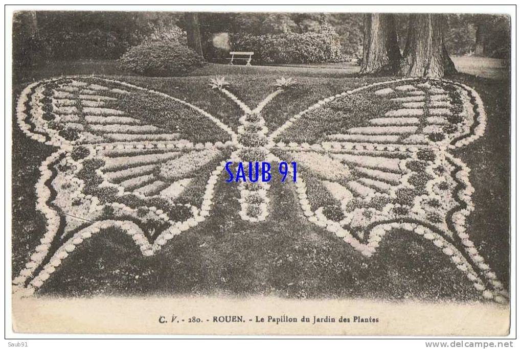 Rouen - Le Papillon Du Jardin Des Plantes--C.V.,N°280-Circulé En 1919-Réf:5180 - Butterflies