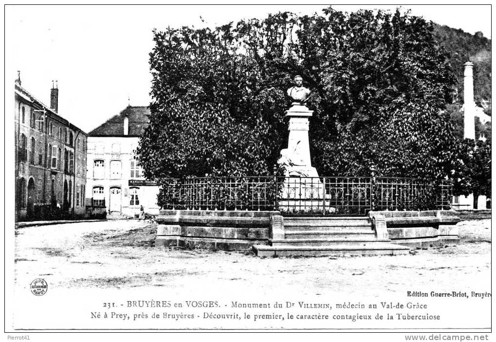 BRUYÈRES EN VOSGES - Monument Du Dr Villemin - Bruyeres