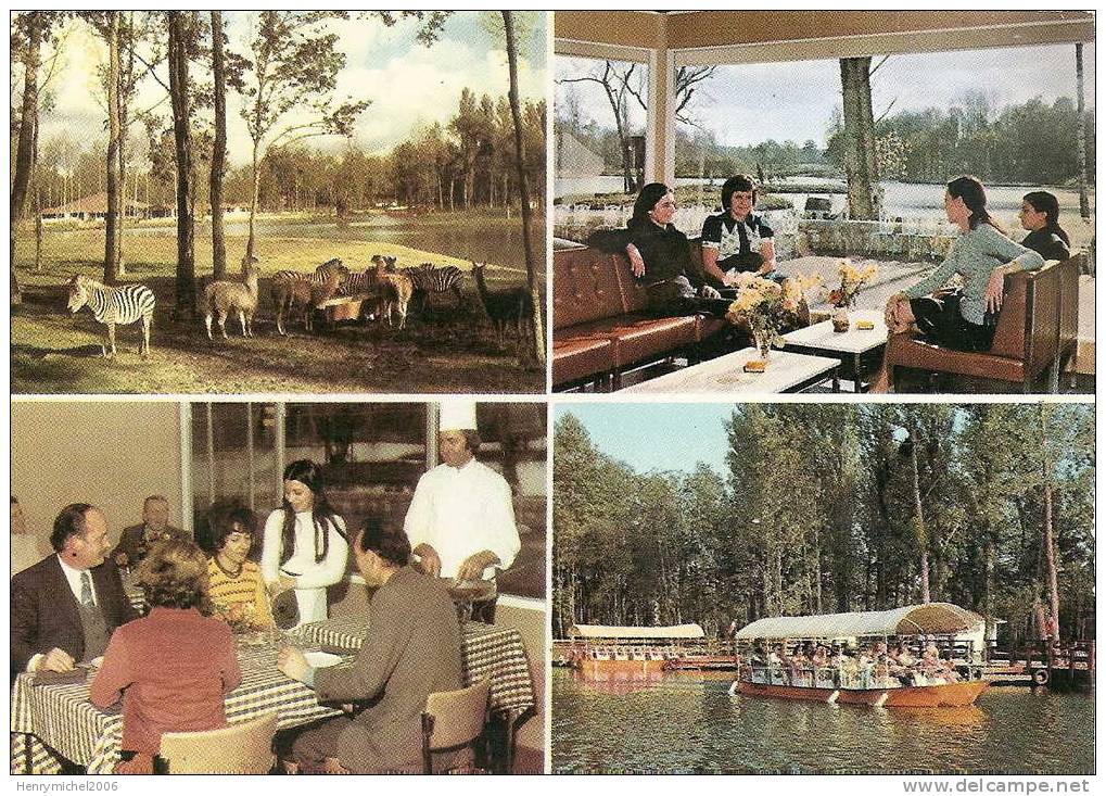 Parc Zoologique De Saint Vrain( Essonne)  Zebres Et Restaurant Avec Cuisinier, Photo Bouvier De Villemoisson - Saint Vrain