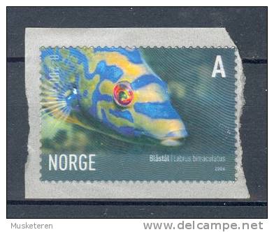 Norway 2006 Mi. 1590  A  INNLAND Meerestiere Sea World Animals Kuckuckslippfisch MNH - Unused Stamps