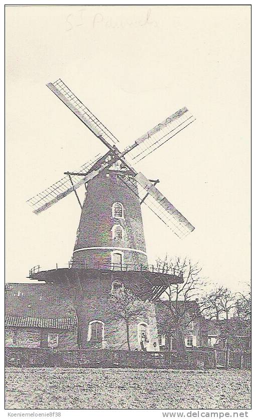 ST-PAUWELS - WINDMOLEN - Sint-Gillis-Waas