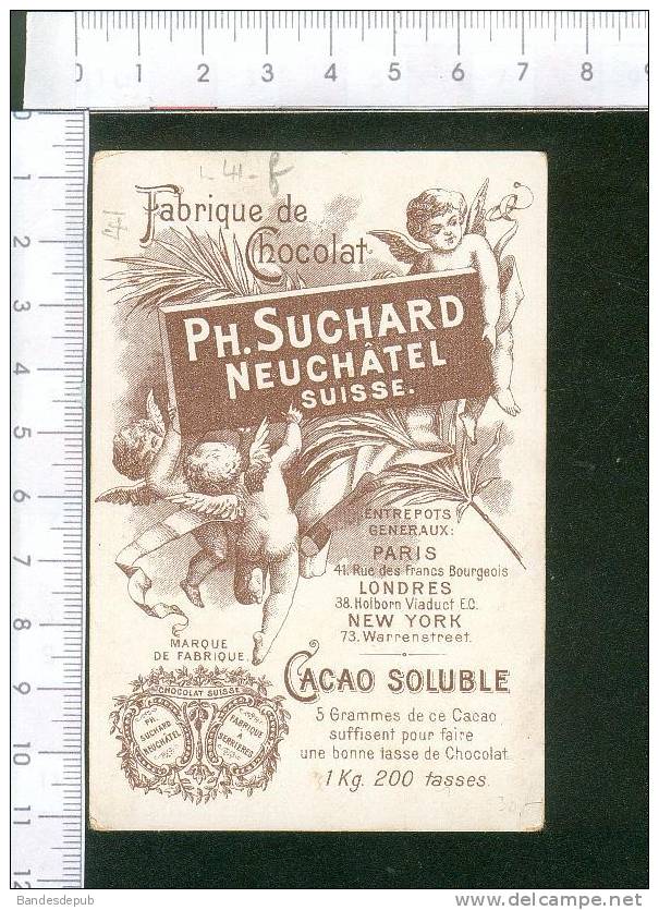 Suchard Jolie Chromo Jeune Femme Montagne Flore Alpes - Suchard