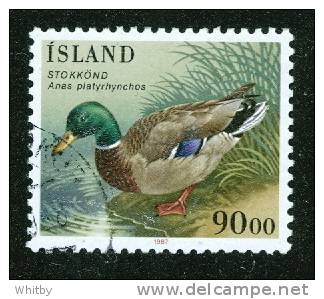 Iceland 1987 90k Anas Platyrhynchos #645 - Used Stamps