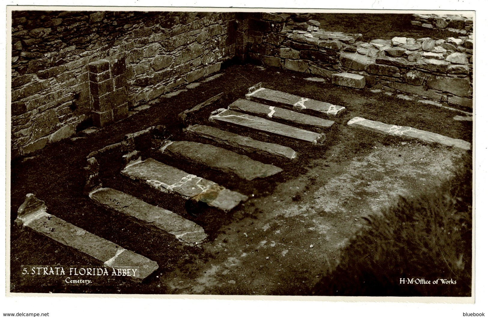 Early Real Photo Postcard Strata Florida Abbey - Cemetery - Cardiganshire Wales - Ref 518 - Cardiganshire