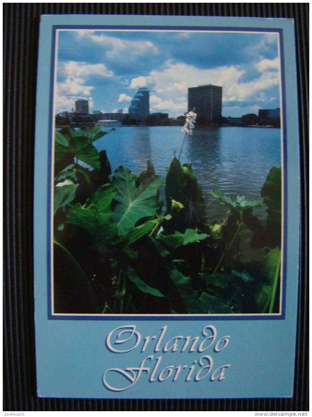 CPSM ETATS UNIS-Orlando-état Voir Scan - Orlando