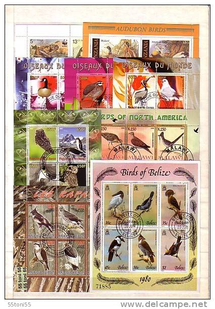 BIRDS ( Ucceli ) -  Lot Of  23  Full Set + 16 S/S (block) - Used  (O) - Verzamelingen, Voorwerpen & Reeksen