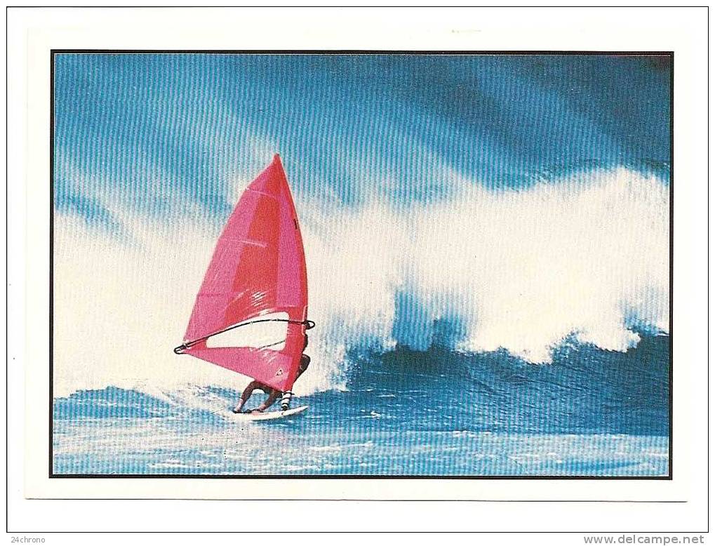 Homme Avec Planche à Voile, Les Voiles De La Liberte, Photo Daniel Forster Sea And See (10-1288) - Zeilen