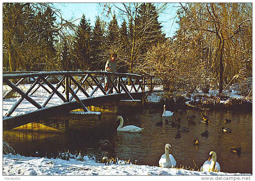 A234 Cartoline Di  Kneippkurort Bad Worishofen – Germany  Kurpark / Non Viaggiata - Bad Woerishofen