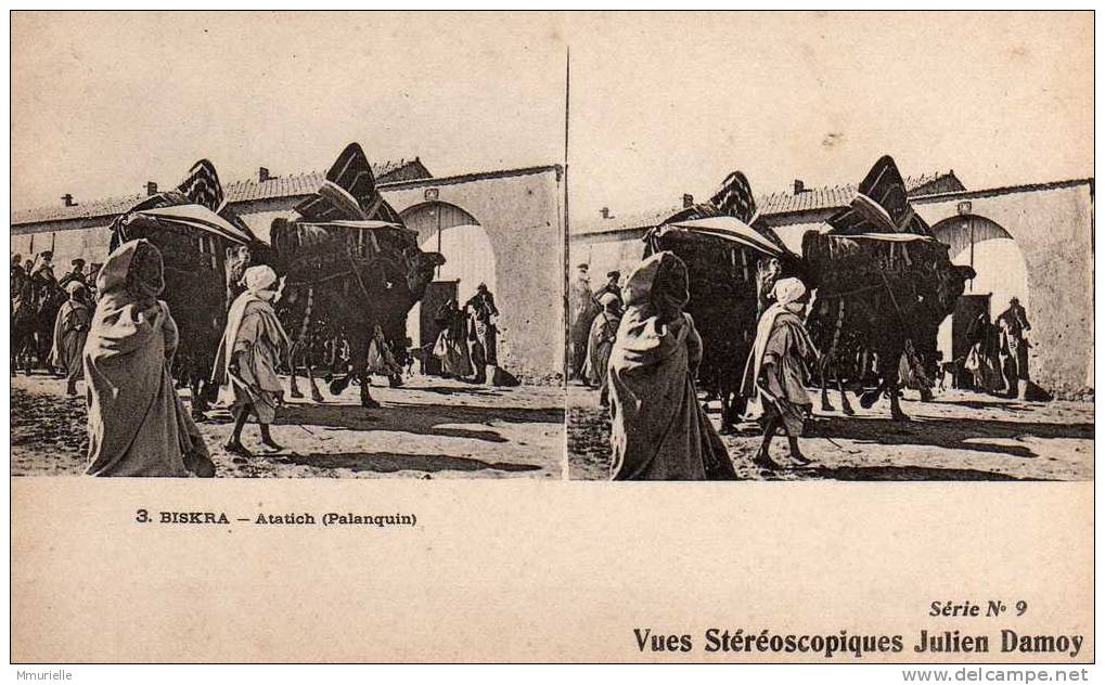 ALGERIE-BISKRA Atatich Palanquin-MB - Estereoscópicas