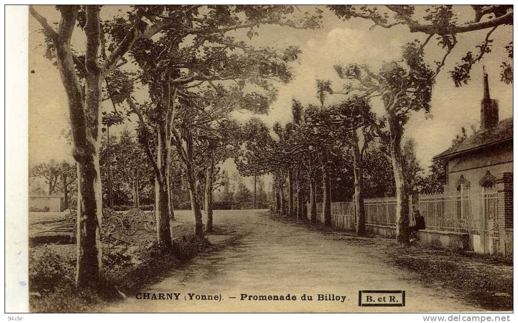 CPA (89)CHARNY    Promenade Du Billoy - Charny