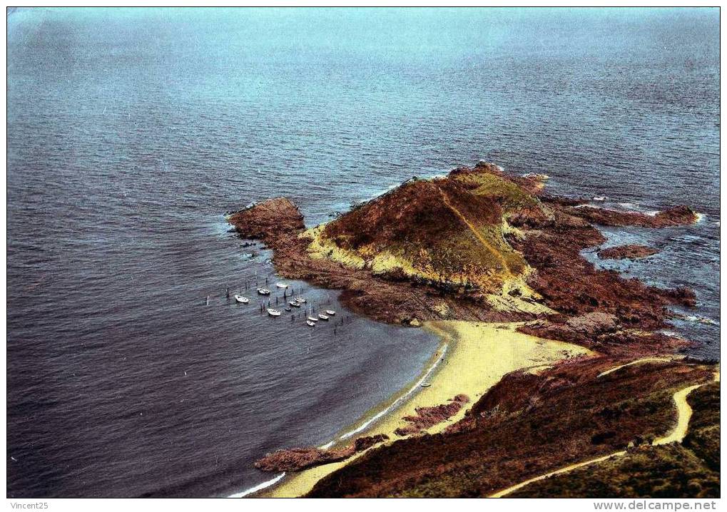 PLOUHA POINTE DU GUINE ZEGAL   1960 - Plouha