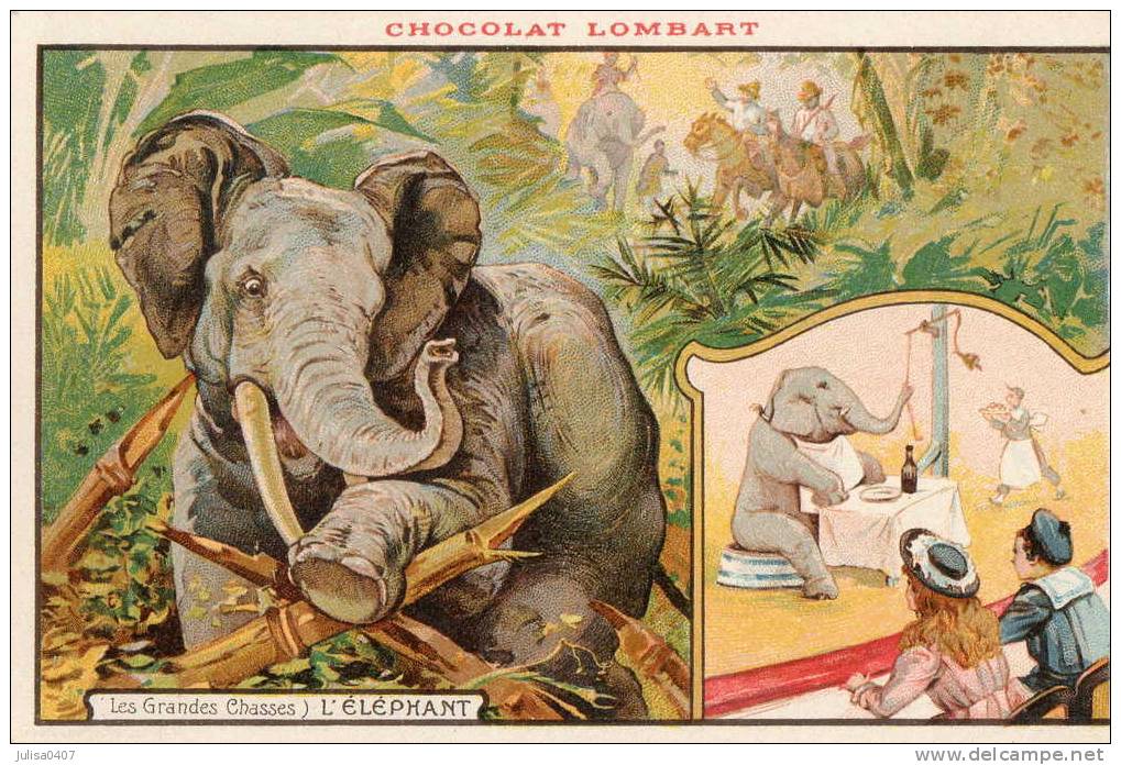 ELEPHANT Carte Publicitaire Chocolat Lombart Chasse - Elefanten