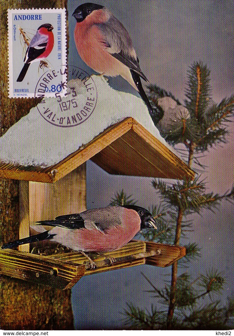 Carte Maximum CM Andorre - Oiseau Bouvreuil - Bullfinch Bird Maxi Card -  Dompfaff Vogel Maxikarte - Cartas Máxima