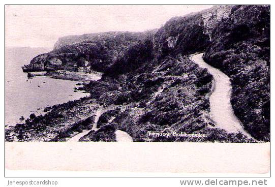 BABBACOMBE With Cliffs And Paths.- Early PCd.- TORQUAY - Torquay