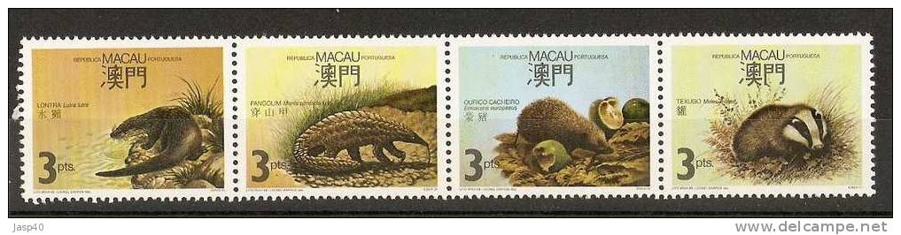 N - MACAU AFINSA 563/566 - SÉRIE NOVA - MNH - Neufs