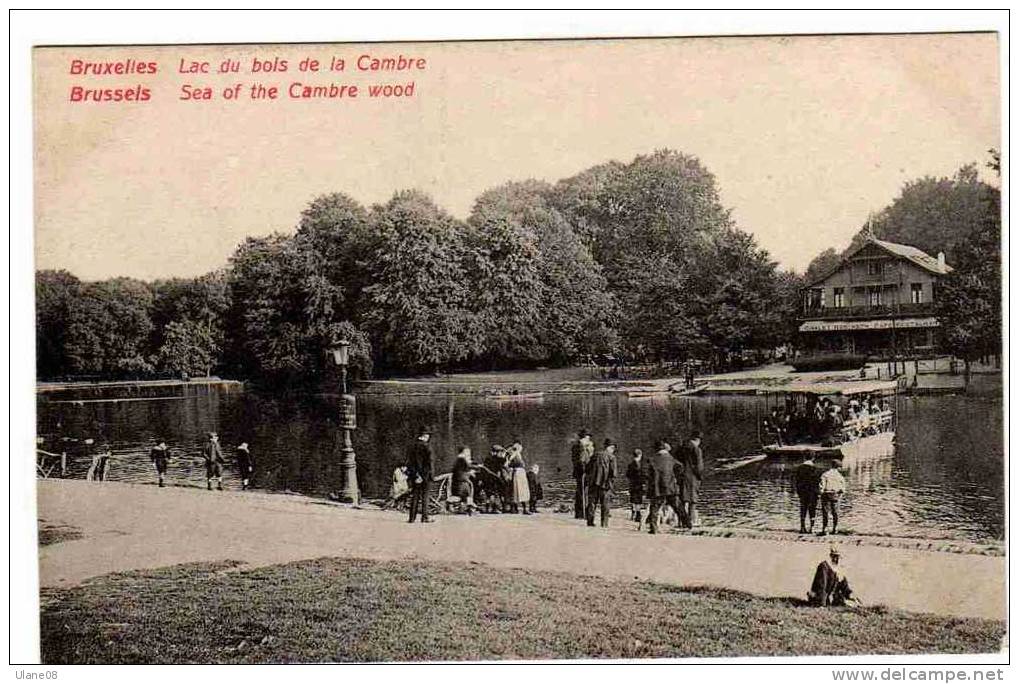 Bruxelles Lac Du Bois De La Cambre - Bossen, Parken, Tuinen