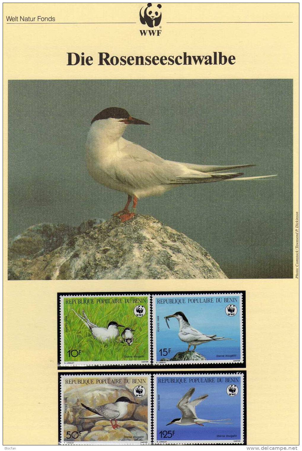 WWF-Set 77 Benin 476/9 770/3 **,4FDC+4MKt. 50CHF Rosen-Seeschwalbe 1989 Dokumentation Fauna Bird Cover Of Africa - Sammlungen (im Alben)