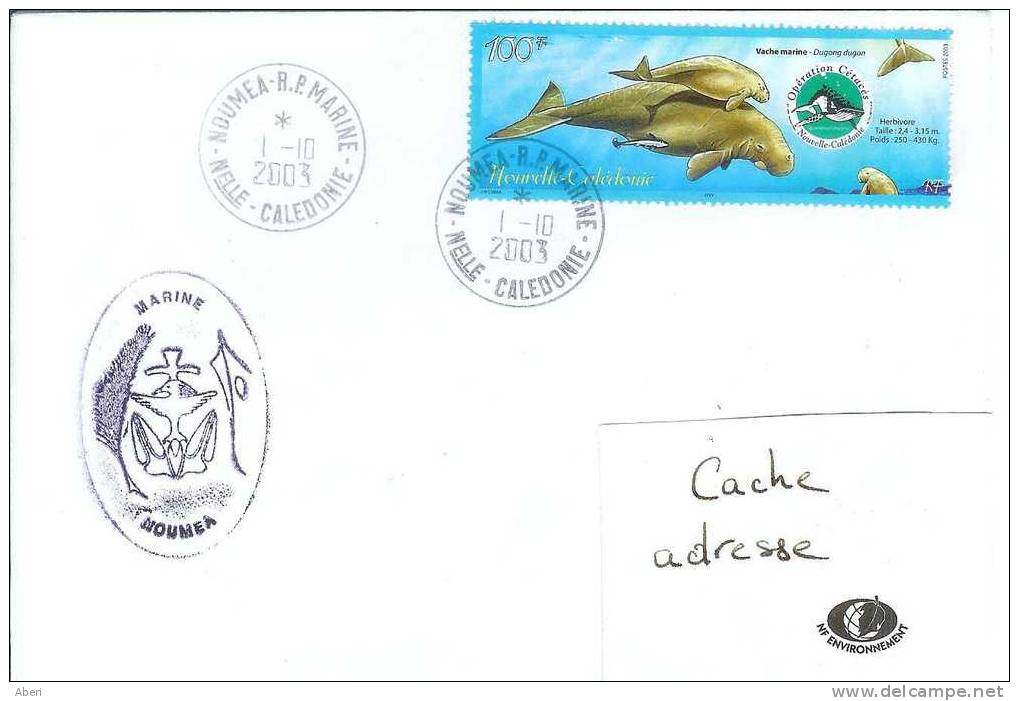 11659  NOUVELLE CALEDONIE - N° 898 - NOUMEA MARINE - Cartas & Documentos