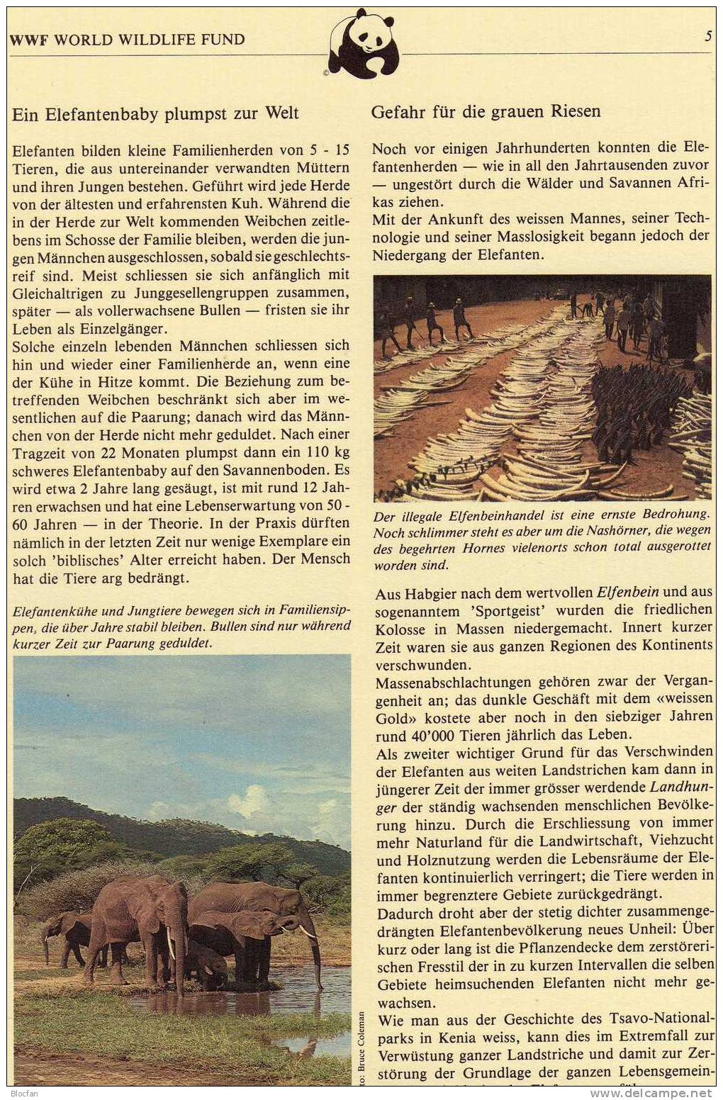 WWF-Set 4 Uganda 361/4 4xMKt. 20€ Elefanten 1983 Mit Naturschutz-Dokumentation - Uganda (1962-...)