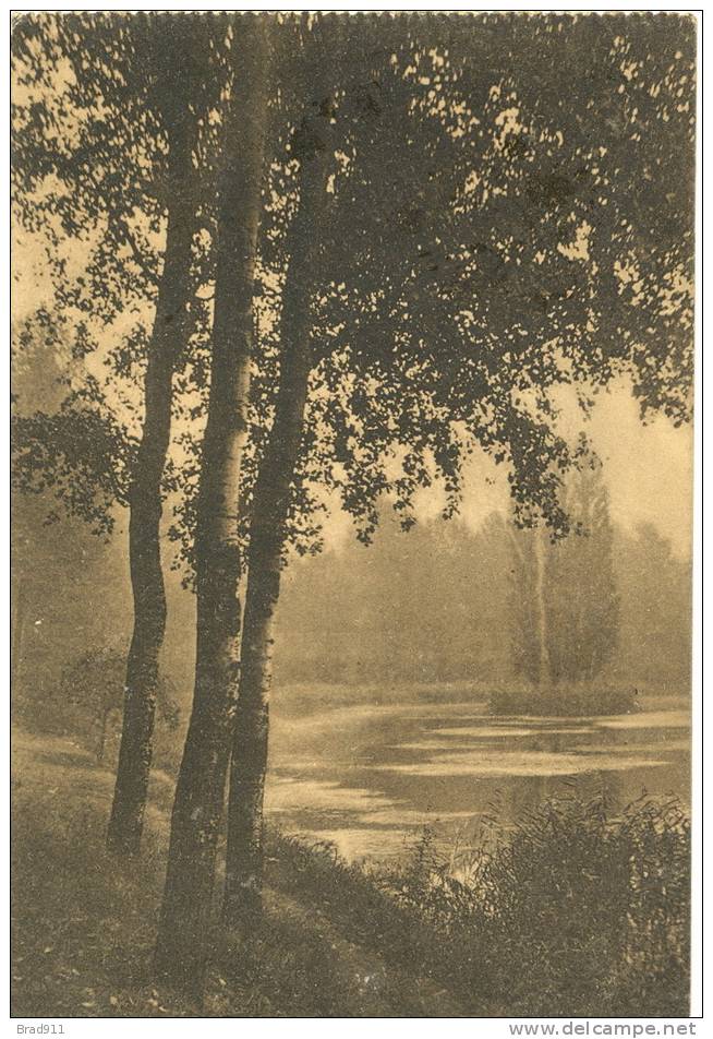 Forêt De Soignes - Zoniënwoud : Etang De Rouge Cloitre - Watermaal Bosvoorde / Boitsfort (1912) - Bossen, Parken, Tuinen