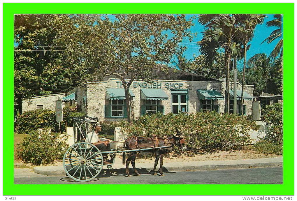 ST. JAMES, BARBADOS - THE ENGLISH SHOP - DUNKEY PULLING - - Barbados