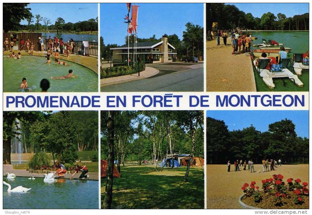 76-LE HAVRE...PROMENADE EN FORET DE MONTGEON....6 VUES ANIMEES.....CPM - Forêt De Montgeon