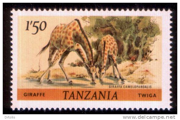 TANZANIA / GIRFFE / MNH / VF . - Giraffen