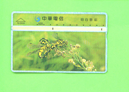 TAIWAN -  Optical Phonecard As Scan - Taiwan (Formosa)