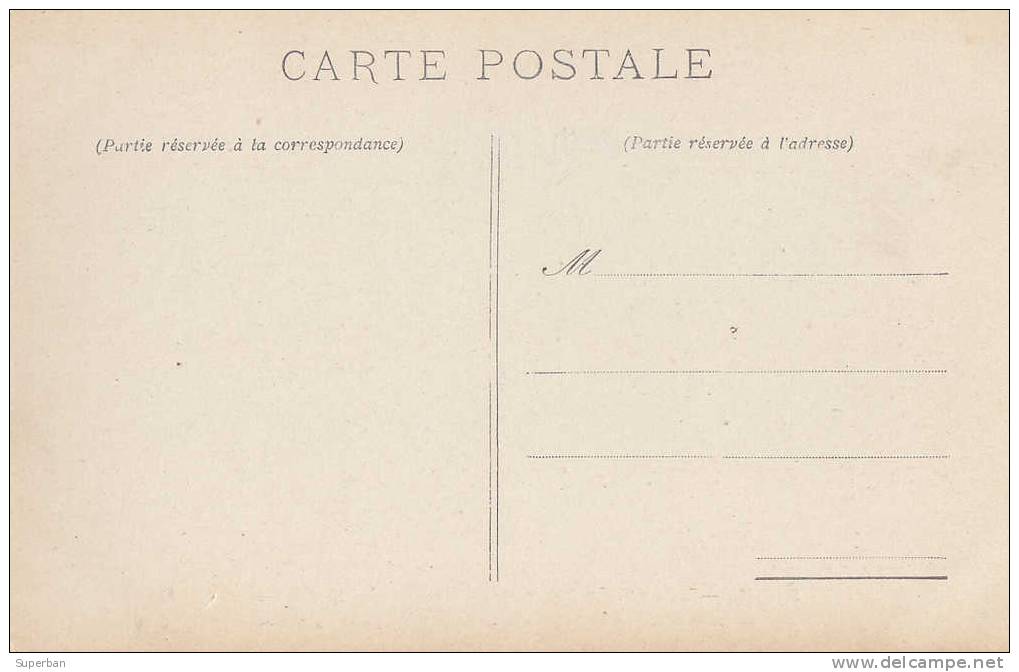 BRAZIL - SAO PAULO - BOITUVA : PLANTATION D´ ANANAS - ANNÉE: ENV. 1910 (e-509) - São Paulo